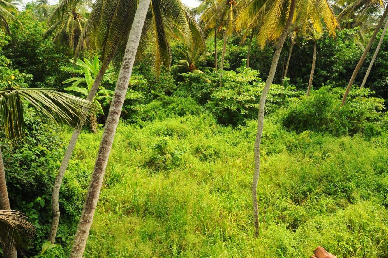 Deutsch Lanka Hotel Telwatta Esterno foto
